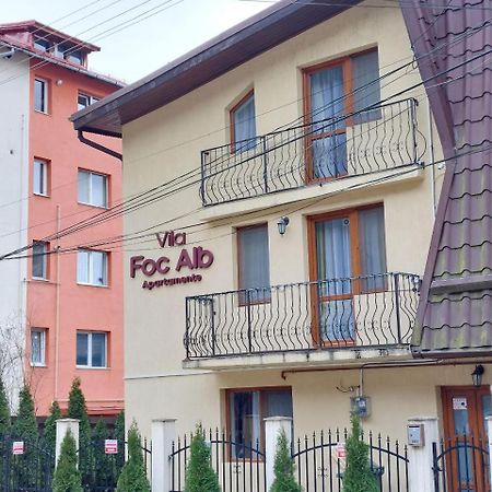 Vila Foc Alb Apartamente-Buşteni Exteriör bild