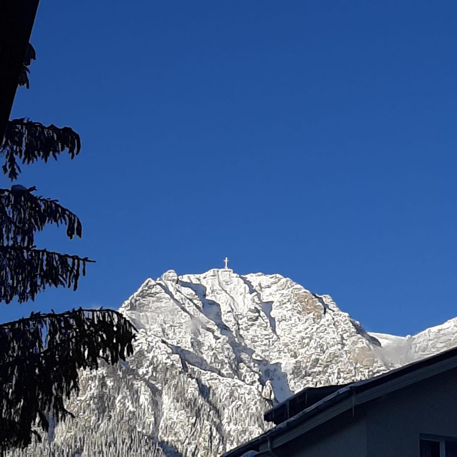 Vila Foc Alb Apartamente-Buşteni Exteriör bild